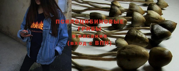 мет Арсеньев