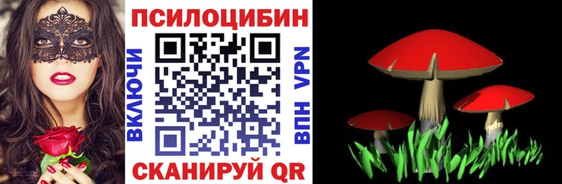 Галлюциногенные грибы мухоморы  Заинск 